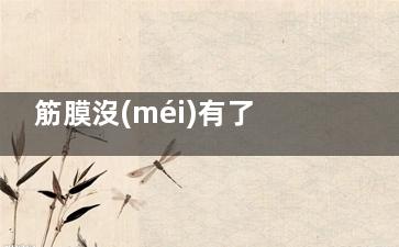 筋膜沒(méi)有了還能長(zhǎng)嗎？揭秘筋膜再生機(jī)制：損傷修復(fù)|功能重建|科學(xué)解析